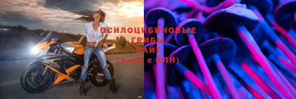 герыч Козловка