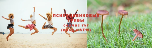 твердый Россошь