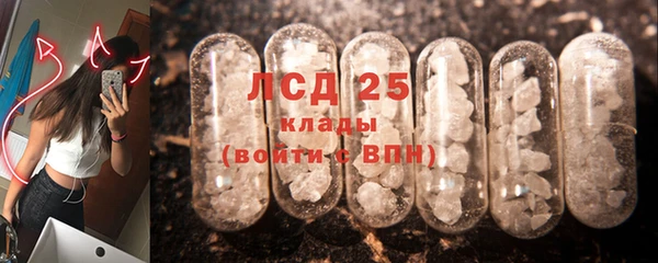 мяу мяу мука Рославль