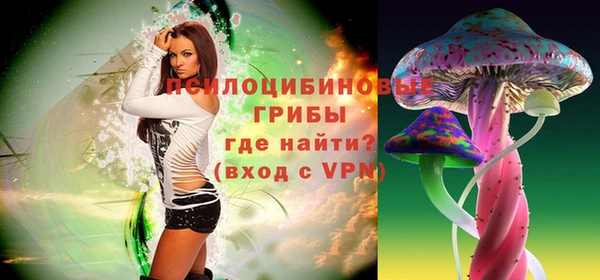 мяу мяу мука Рославль